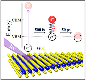 Ultrafast dynamics of exciton formation and decay in two-dimensional tungsten disulfide (2D-WS2) monolayers